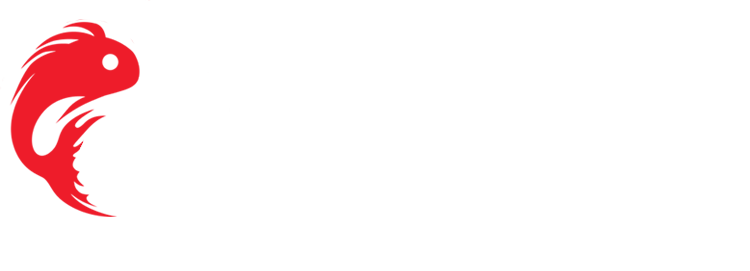 BETA Academy